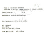 中文名:西施花 (S073731)學名:Rhododendron ellipticum Maxim.(S073731)中文別名:青紫木英文名:Taiwan Rhododendron