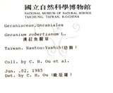 中文名:野老鸛草(S006104)學名:Geranium carolinianum L.(S006104)