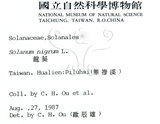 中文名:龍珠(S006213)學名:Tubocapsicum anomalum (Franch. & Sav.) Makino(S006213)