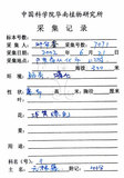 中文名:無根草(S101678 )學名:Cassytha filiformis L.(S101678 )英文名:Filiform Cassytha