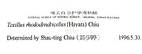 中文名:杜鵑桑寄生 (S015077 )學名:Taxillus rhododendricolus (Hayata) Chiu (S015077 )