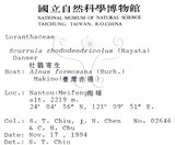 中文名:杜鵑桑寄生 (S015294 )學名:Taxillus rhododendricolus (Hayata) Chiu (S015294 )