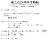 中文名:杜鵑桑寄生 (S015301 )學名:Taxillus rhododendricolus (Hayata) Chiu (S015301 )