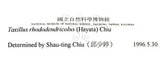 中文名:杜鵑桑寄生 (S015303 )學名:Taxillus rhododendricolus (Hayata) Chiu (S015303 )