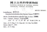 中文名:杜鵑桑寄生 (S016411 )學名:Taxillus rhododendricolus (Hayata) Chiu (S016411 )
