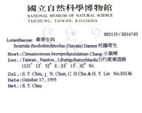 中文名:杜鵑桑寄生 (S016743 )學名:Taxillus rhododendricolus (Hayata) Chiu (S016743 )