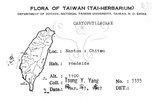 中文名:阿里山繁縷(S080822)學名:Stellaria arisanensis (Hayata) Hayata(S080822)