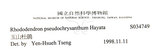 中文名:玉山杜鵑(S034749)學名:Rhododendron pseudochrysanthum Hayata(S034749)英文名:Yu-shan Rhododendron