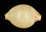 中文名:繡珠寶螺(002368-00400)學名:Cypraea cicercula Linnaeus, 1758(002368-00400)