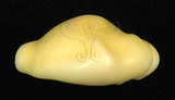 中文名:黃寶螺(002119-00009)學名:Cypraea moneta Linnaeus, 1758(002119-00009)