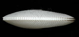 中文名:扁船蛸(005756-00006)學名:Argonauta argo Linnaeus, 1758(005756-00006)