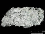 中文名:葉狀珊瑚粘結灰岩 (NMNS000162-F031290)英文名:Foliaceous Coral Boundstone(NMNS000162-F031290)