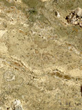 中文名:葉狀珊瑚粘結灰岩 (NMNS000673-F031889)英文名:Foliaceous Coral Boundstone(NMNS000673-F031889)