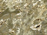 中文名:葉狀珊瑚粘結灰岩 (NMNS000673-F031915)英文名:Foliaceous Coral Boundstone(NMNS000673-F031915)