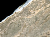 中文名:葉狀珊瑚粘結灰岩 (NMNS000675-F032374)英文名:Foliaceous Coral Boundstone(NMNS000675-F032374)