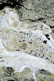 中文名:葉狀珊瑚粘結灰岩 (NMNS000783-F033161)英文名:Foliaceous Coral Boundstone(NMNS000783-F033161)