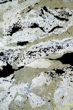 中文名:葉狀珊瑚粘結灰岩 (NMNS000783-F033244)英文名:Foliaceous Coral Boundstone(NMNS000783-F033244)