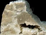 中文名:葉狀珊瑚粘結灰岩 (NMNS000962-F034602)英文名:Foliaceous Coral Boundstone(NMNS000962-F034602)