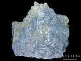 中文名:葉狀珊瑚粘結灰岩 (NMNS000962-F034622)英文名:Foliaceous Coral Boundstone(NMNS000962-F034622)