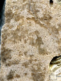 中文名:塊狀珊瑚粘結灰岩 (NMNS000962-F034566)英文名:Massive Coral Boundstone(NMNS000962-F034566)