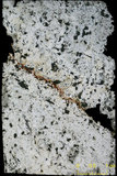 中文名:板狀珊瑚粘結灰岩 (NMNS000673-F031847)英文名:Platy Coral Boundstone(NMNS000673-F031847)