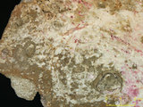 中文名:板狀珊瑚粘結灰岩 (NMNS000673-F031847)英文名:Platy Coral Boundstone(NMNS000673-F031847)