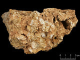 中文名:板狀珊瑚粘結灰岩 (NMNS000783-F033144)英文名:Platy Coral Boundstone(NMNS000783-F033144)