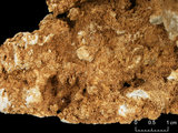 中文名:板狀珊瑚粘結灰岩 (NMNS000962-F034565)英文名:Platy Coral Boundstone(NMNS000962-F034565)