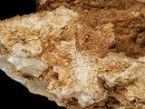 中文名:板狀珊瑚粘結灰岩 (NMNS000962-F034565)英文名:Platy Coral Boundstone(NMNS000962-F034565)