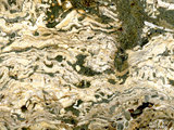 中文名:珊瑚-珊瑚藻粘結灰岩(NMNS000675-F032141)英文名:Coral-Corallines Boundsto(NMNS000675-F032141)