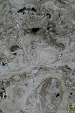 中文名:懸粒灰岩(NMNS000566-F031604)英文名:Floatstone(NMNS000566-F031604)