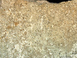 中文名:懸粒灰岩(NMNS000673-F031900)英文名:Floatstone(NMNS000673-F031900)