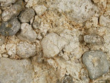 中文名:礫屑灰岩(NMNS000783-F033235)英文名:Rudstone(NMNS000783-F033235)