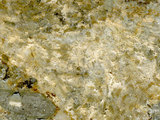 中文名:礫屑灰岩(NMNS000783-F033236)英文名:Rudstone(NMNS000783-F033236)