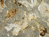 中文名:礫屑灰岩(NMNS000879-F033994)英文名:Rudstone(NMNS000879-F033994)