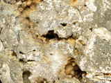 中文名:礫屑灰岩(NMNS000962-F034567)英文名:Rudstone(NMNS000962-F034567)