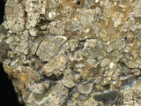 中文名:礫屑灰岩(NMNS000962-F034612)英文名:Rudstone(NMNS000962-F034612)