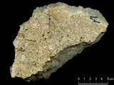 中文名:礫屑灰岩(NMNS000962-F034613)英文名:Rudstone(NMNS000962-F034613)