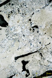 中文名:懸粒灰岩(NMNS000673-F032097)英文名:Floatstone(NMNS000673-F032097)