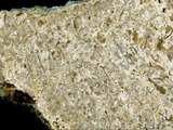 中文名:懸粒灰岩(NMNS000675-F032310)英文名:Floatstone(NMNS000675-F032310)