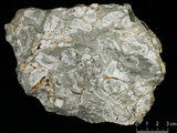 中文名:懸粒灰岩(NMNS000675-F032380)英文名:Floatstone(NMNS000675-F032380)