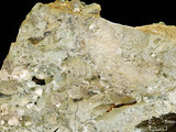 中文名:懸粒灰岩(NMNS000962-F034611)英文名:Floatstone(NMNS000962-F034611)