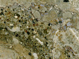 中文名:懸粒灰岩(NMNS000700-F033025)英文名:Floatstone(NMNS000700-F033025)