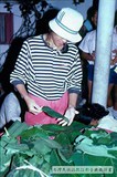 1986年大南魯凱豐年祭 006
