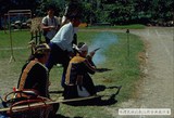 1988年霧鹿布農打耳祭（malatagia） 152