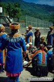 1988年霧鹿布農打耳祭（malatagia） 222