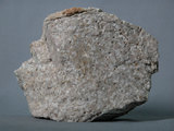 中文名:淡色花岡岩(NMNS003053-P006284)英文名:granite(NMNS003053-P006284)