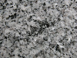 中文名:黑雲母花岡岩(NMNS002847-P004920)英文名:Biotite granite(NMNS002847-P004920)