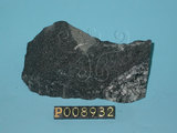 中文名:角閃岩(NMNS004376-P008932)