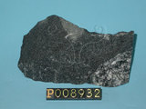 中文名:角閃岩(NMNS004376-P008932)英文名:Amphibolite(NMNS004376-P008932)